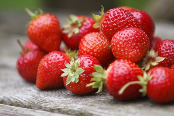 Fresas  Lbs